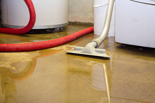 Carpet water damage restoration in St David, AZ
