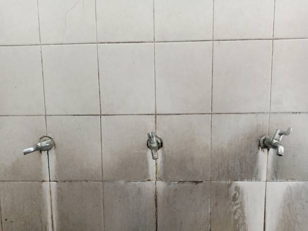Best Residential water damage restoration  in St David, AZ
